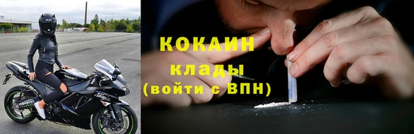 молекула духа Арсеньев