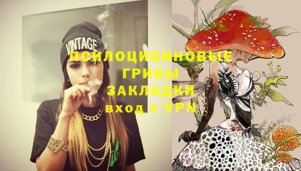 молекула духа Арсеньев