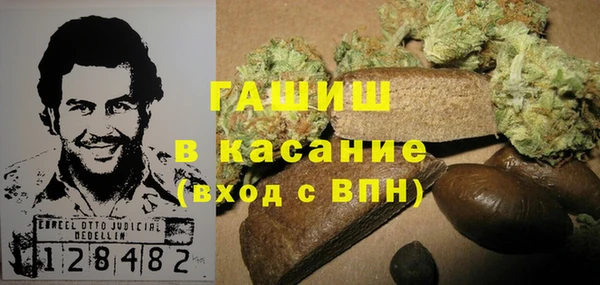 молекула духа Арсеньев