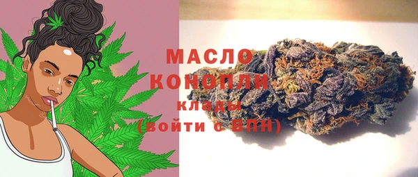 молекула духа Арсеньев