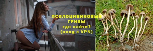 молекула духа Арсеньев