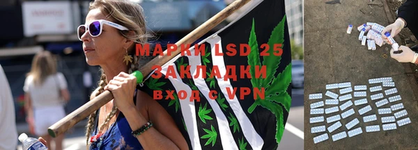 молекула духа Арсеньев