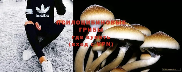молекула духа Арсеньев